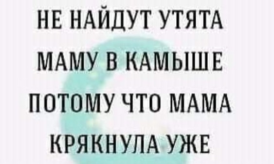  Мама утка играет со своими утятами в прятки!