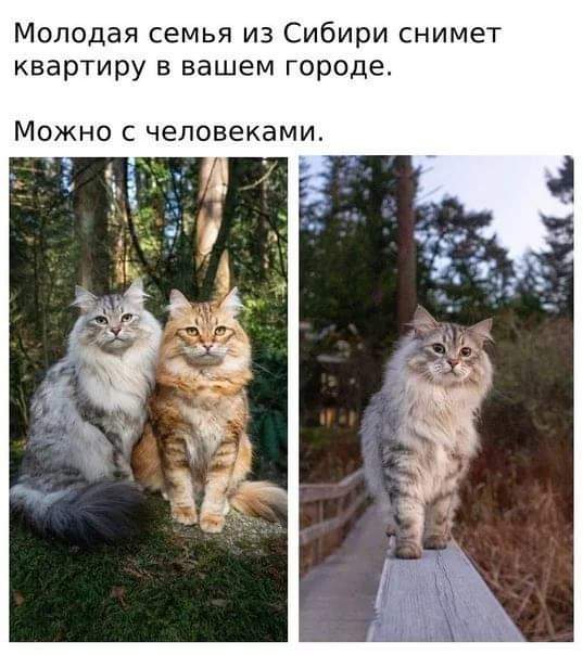 Кубик Рубика