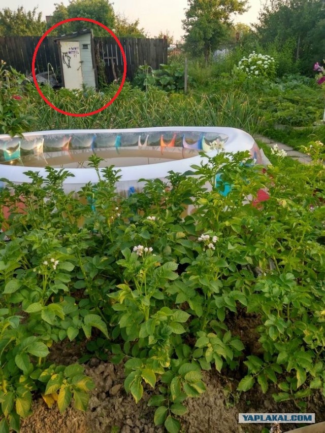 Дача (Хвастаемся). Не продаётся. Просто показываю. Красивое! Вспомним лето перед зимой