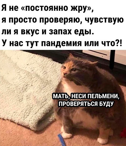 Баянисто-небаянистый юмор 29.11.21