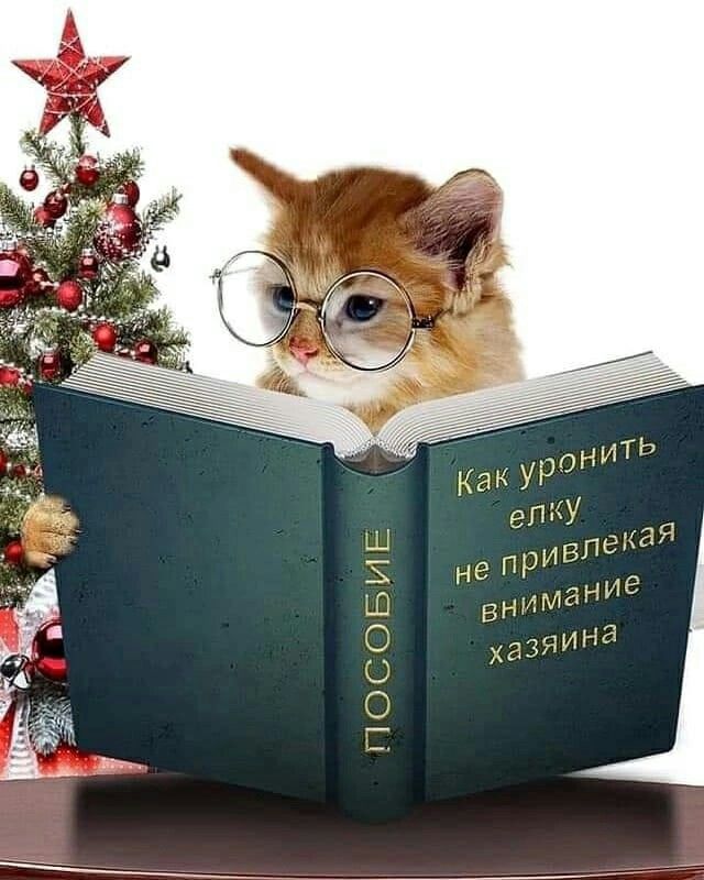 Баянисто-небаянистый юмор 28.12.21
