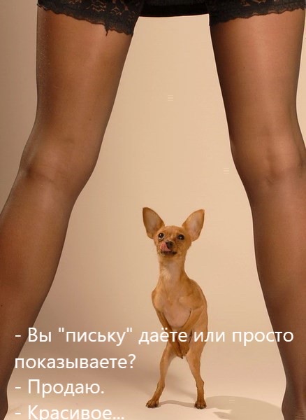 Про женщин, которые выпивают