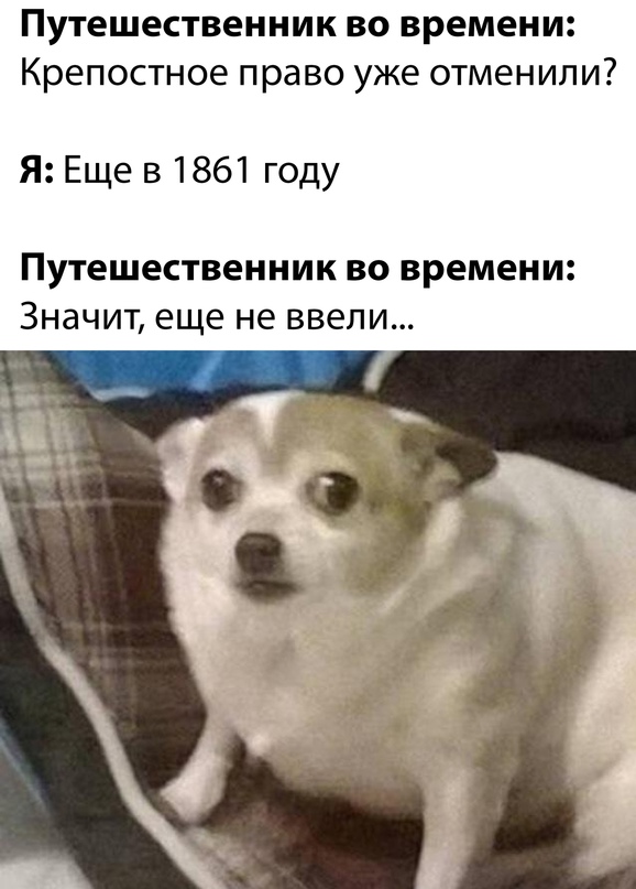 Весёлый полтишок 05.03