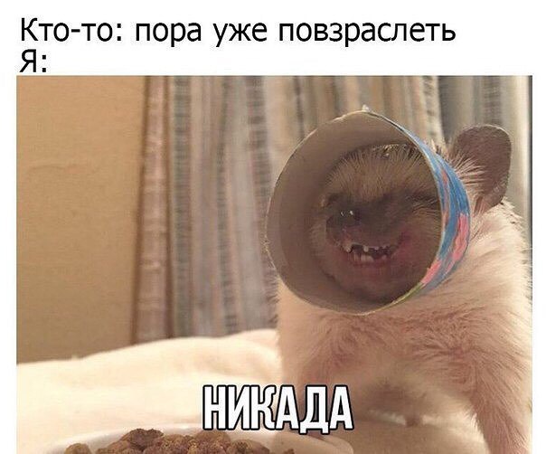 Картинки и мемы для настроения - 21