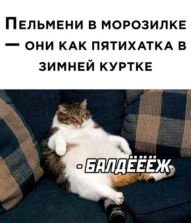 Весёлый полтишок 01.09.22