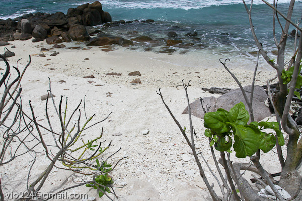 Сейшеллы октябрь 2012