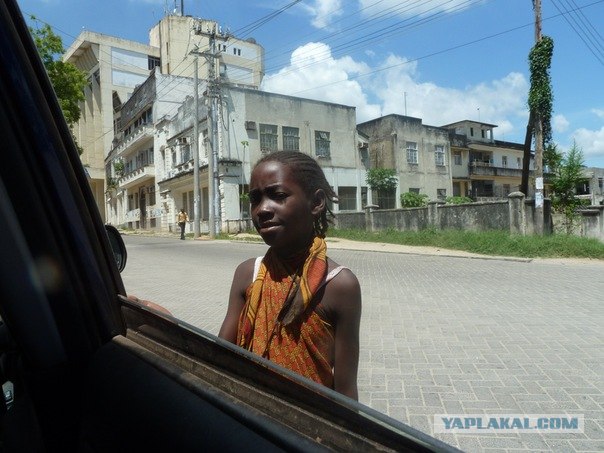 AFRICA - (Эфиопия,Кения,Танзация) 4-16 ноября 2011