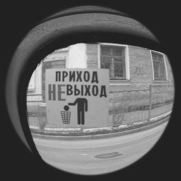Картинки 09.12.2022