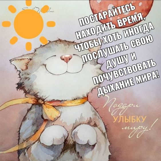 Прикольные и просто красивые картинки 20.12.2022