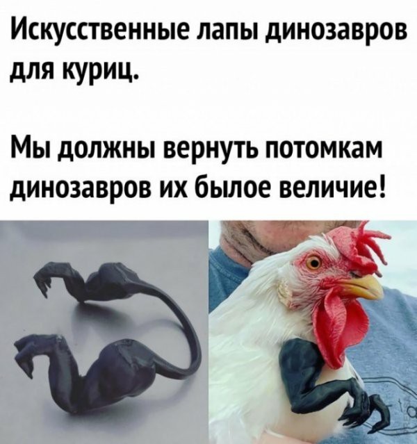 Не бейте баяниста - играет, как может