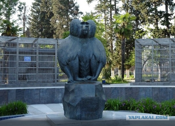 Николай Николаевич в Хосте