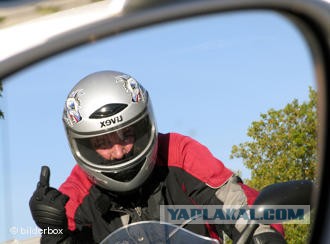 Операция «Антидачник»: на чьей стороне ты?