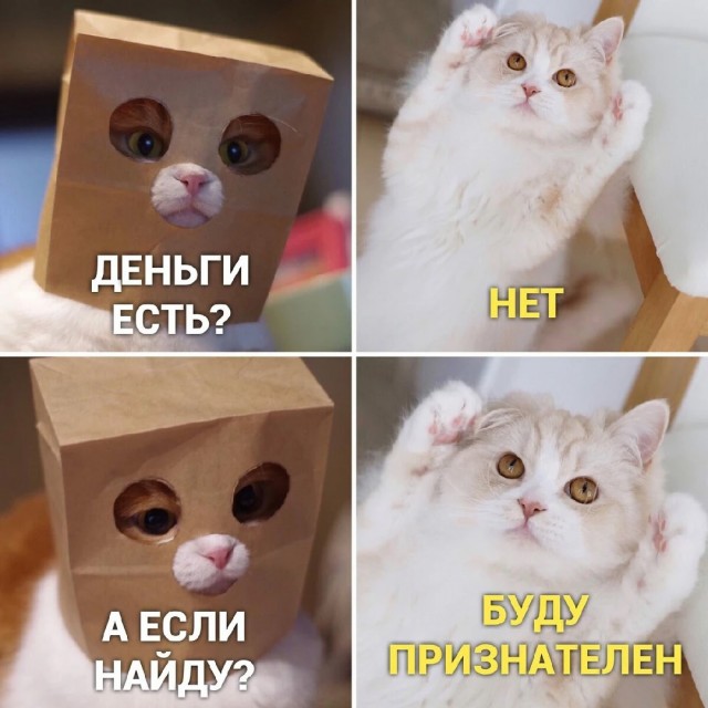 Картинки из Дристоля - 3
