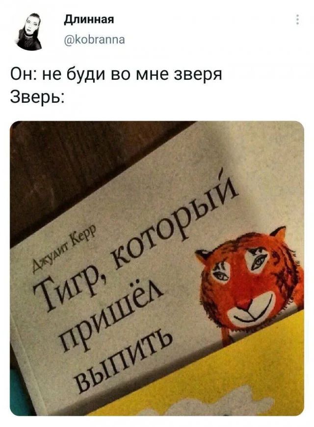 Прикольные и просто красивые картинки 29.12.2023