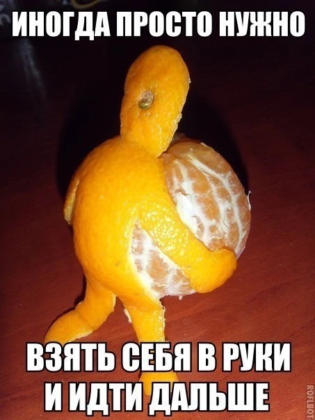 Весёлый полтишок 05.01.24