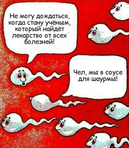 Отряд быстрой деградации