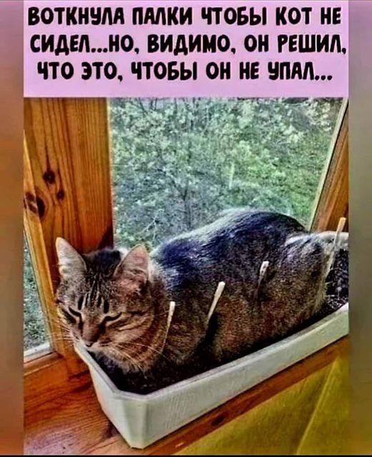 Так себе картинки 07.08.24