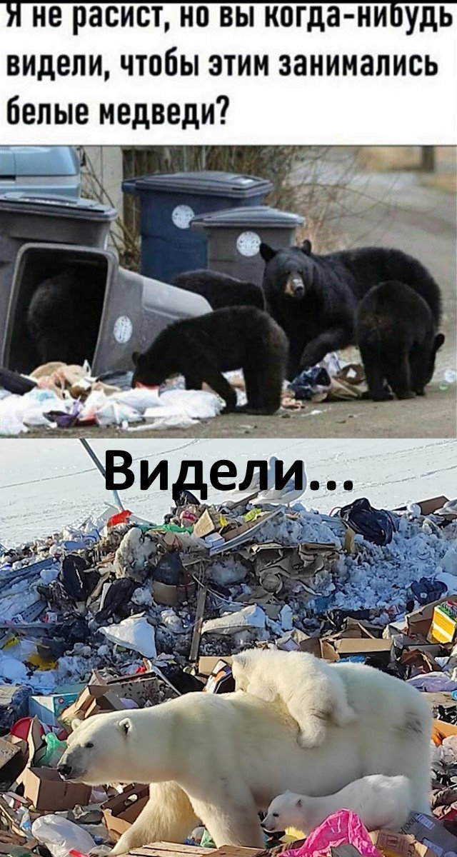 Так себе картинки 01.09.24