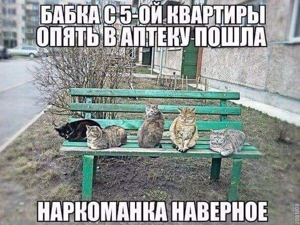 Завалялось тут случайно немного забавных картинок