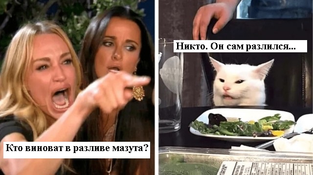 В РАН заявили о «крупнейшей экологической катастрофе»