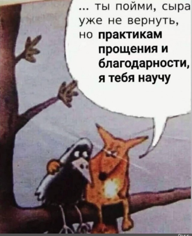 Умные они, ёшкин кот