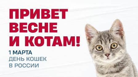 Лёд наступает в Таганроге
