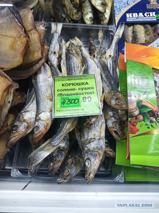 Что со скумбрией? Неурожай?