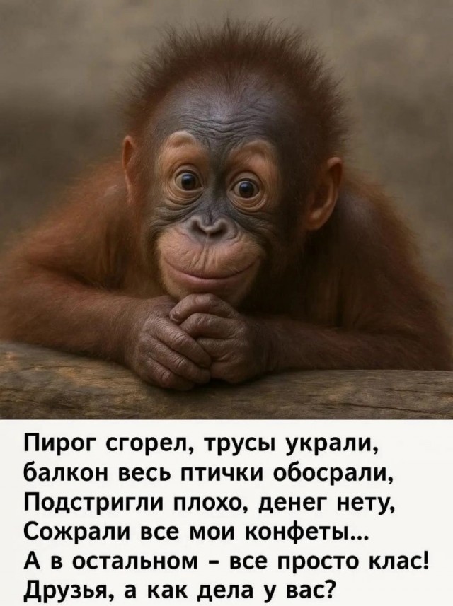 Завалялось тут случайно немного забавных картинок