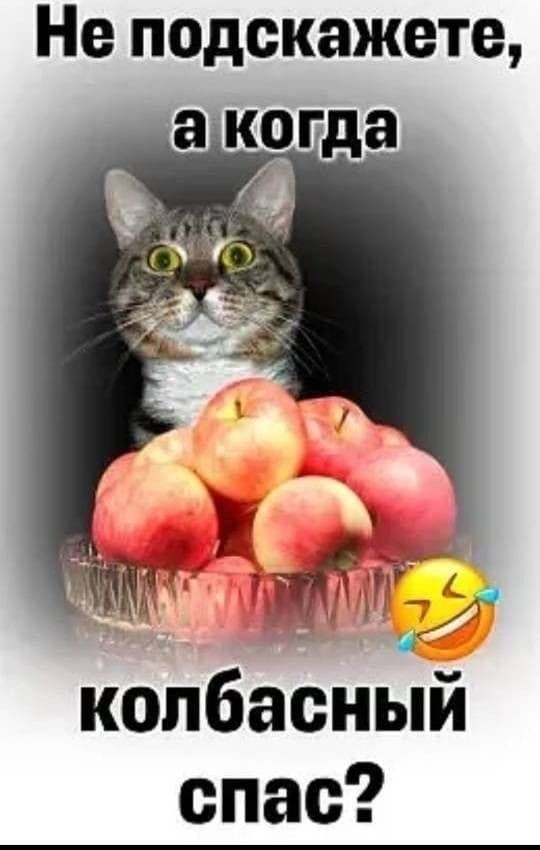 Немного картинок