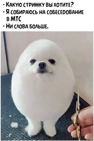 Вторника картинки