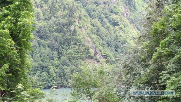 Абхазия (море), Армения (абрикосы)