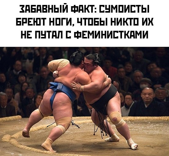 Так себе картинки 24.07.26