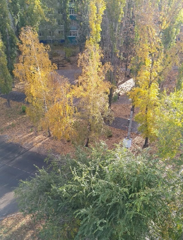 Год назад и сейчас.