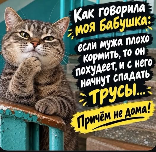 Картинки на вторник