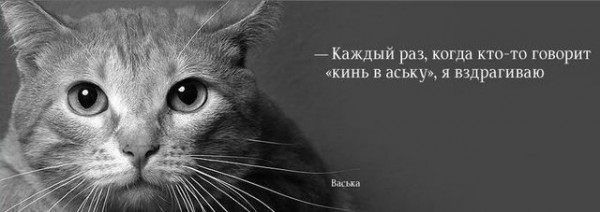 Без слов