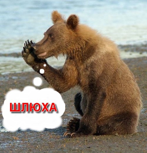 У деда на выходных в деревне