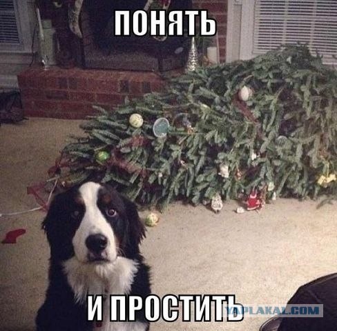 Почему ты меня не пускаешь?