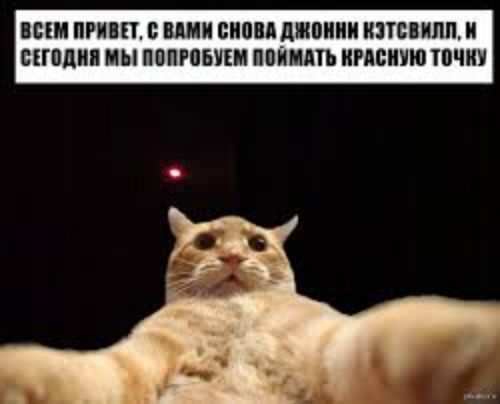 Привет, я Кэти Кэтсвилл.