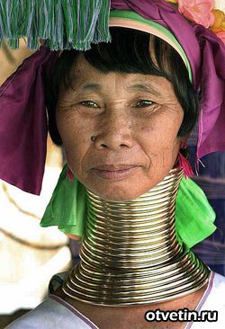 Fail (не издевательство над животными)