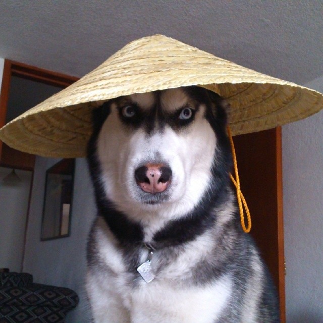 Картинки