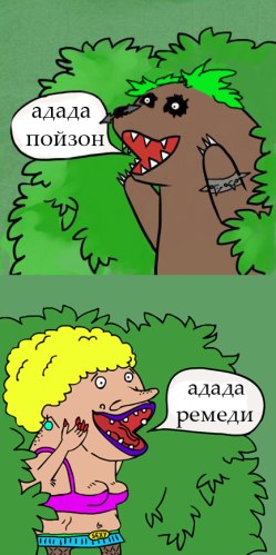 Медведи почти на все случаи жизни