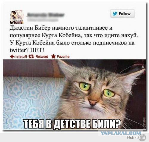 Комменты из соцсетей