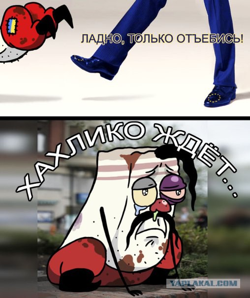 Нуланд отказала Украине в членстве в НАТО