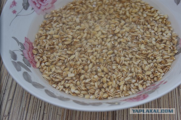 Рассольник, (FrauMarta, Ammok, Mitsv - против похмел