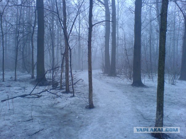 Silent Hill. Russian edition