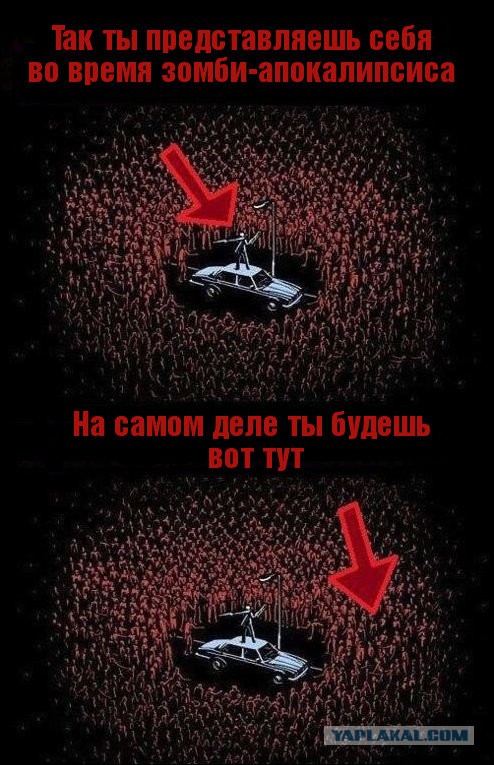Настоящие герои из соцсетей