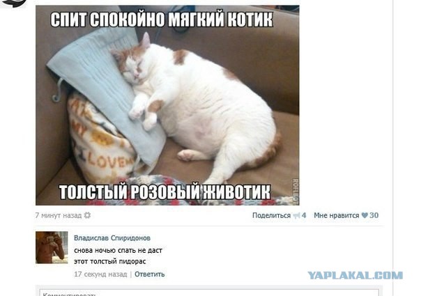 Смешные комментарии из соцсетей