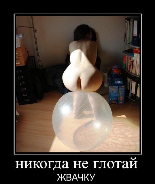 Юмор ниже пояса
