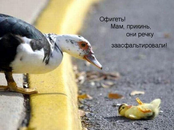 Картинки с буквами -11
