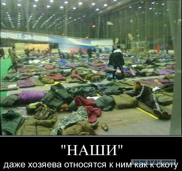 Митинг 10 декабря
